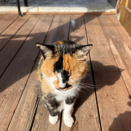 Slotwinka Pensión 3*