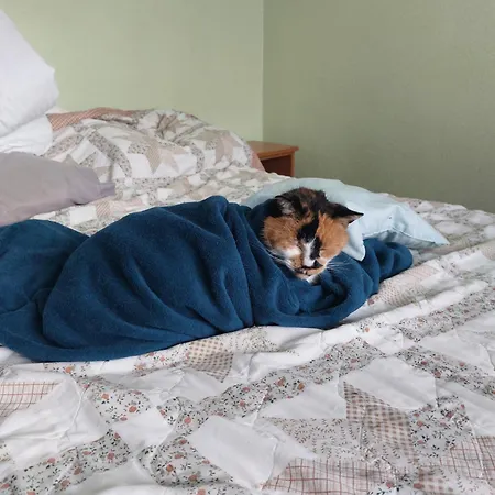 Pensión Slotwinka Krynica-Zdrój