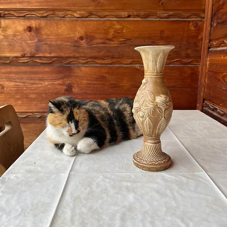 Slotwinka Pensión 3*